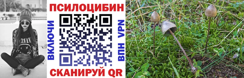 даркнет сайт  кракен зеркало  Псилоцибиновые грибы Magic Shrooms  Краснодар 