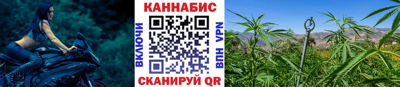 Шишки марихуана планчик  Краснодар 